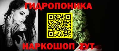 соль ск Гусев