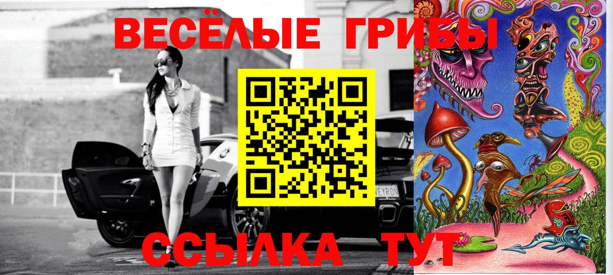 Новозыбков  Псилоцибиновые грибы прущие грибы  как найти закладки  Вход с VPN 