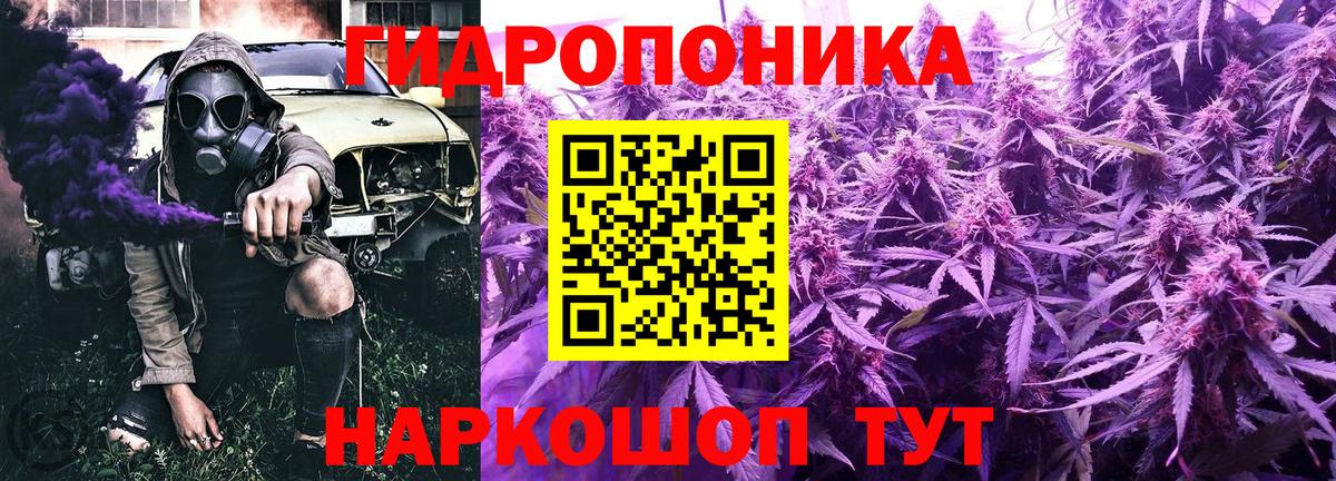 Шишки марихуана план  Марихуана семена  Новозыбков  Канабис марихуана  Вход с VPN 